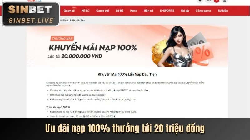 Hoàn Trả Hàng Tuần